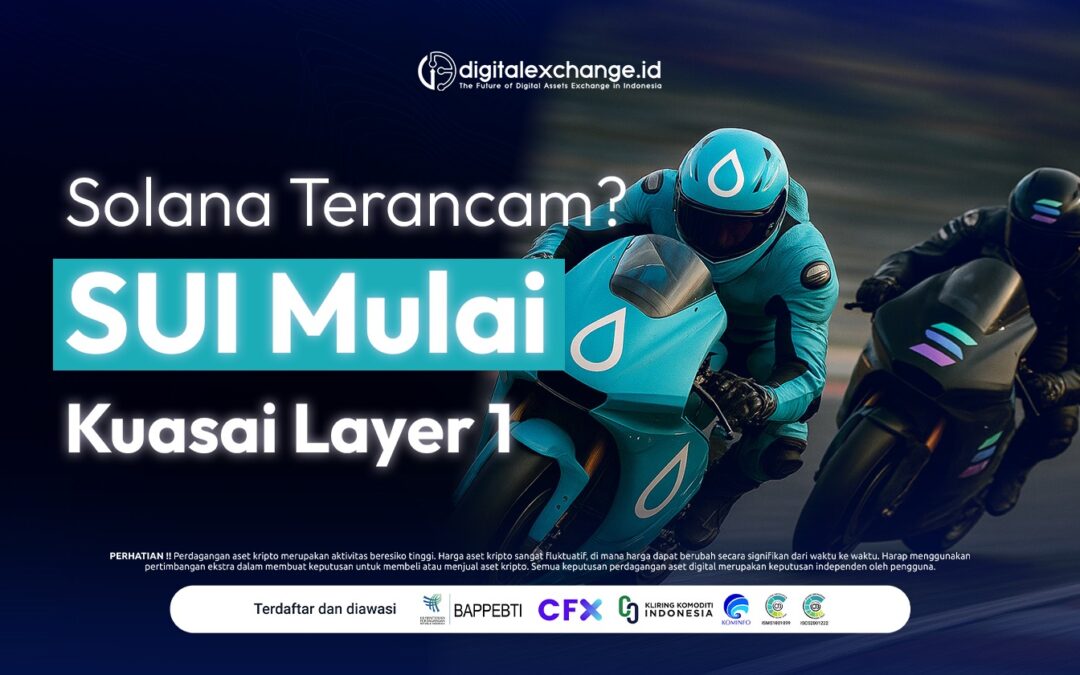 Solana Terancam? SUI Mulai Kuasai Layer 1
